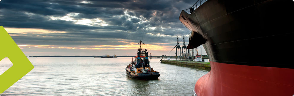 Technoflow - The Making